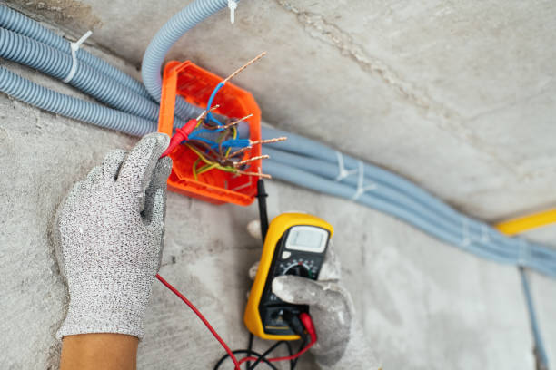 Best Electrical System Inspection  in Chase City, VA